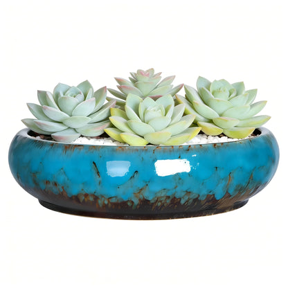 Succulent Pots, 10 Inch, Shallow Planter with Drainage for Succulent Planters, Bonsai Pots & Cactus Pots, Plant Pots, Ceramic Planters for Indoor Plants - Perfect for Home Offie Garden Decor, Blue