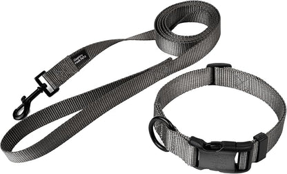 Country Brook Petz - Everyday Nylon Dog Collar and Leash - 10+ Cool Colors (3/4 Inch, Small, Charcoal)
