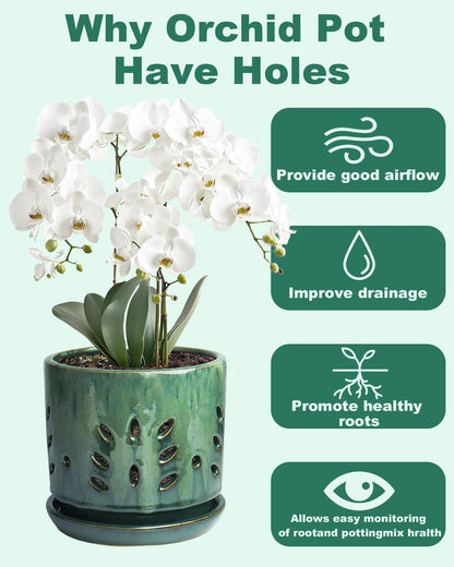 vensovo 6 Inch Ceramic Orchid Pots with Holes - Round Orchid Pots for Repotting, Garden Planter Indoor and Outdoor with Attached Saucer Supports Air Circulation(Green)