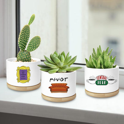 Ywkuiev Succulent Planter, Flower Cactus Plant Pot, Friends Merchandise, Funny Friendship Decor Themed Gifts for Men Women Best Friends Bestie Sister Housewarming Gift (Plants Not Included)