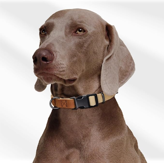 Mile High Life Genuine Leather Dog Collar, Soft Cotton Pet Collars with Heavy Metal Buckle for Small Large Dogs (Khaki, L Neck 17"-21")
