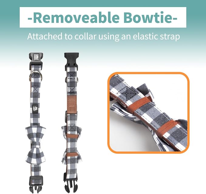 IVY&LANE Dog Collar with Bowtie and Leash Set | Plaid Adjustable Dog Collar | Detachable Bow Tie |5 FT Dog Leash | for Small Medium Large Dogs | Checkered Black | Large