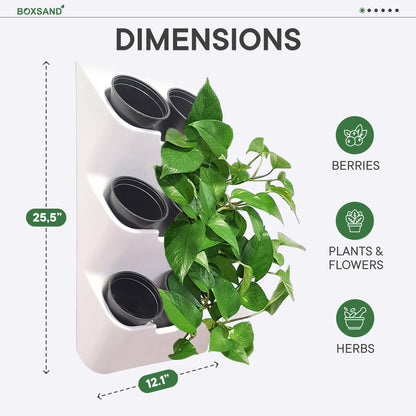 BOXSAND-6 Vertical Wall Planter (12"x26", White with Black Pots) – Living Wall for 6 Plants, Indoor/Outdoor Vertical Garden System, Easy 2-Screw Install