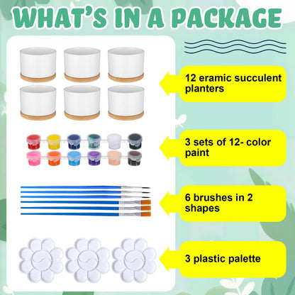 SiliFine 12 Sets DIY Ceramic Succulent Pots Painted Ceramic Flower Pots with Drainage Holes, Paints, Brushes, Palettes, Trays for DIY Event Adults Craft Birthday Gifts