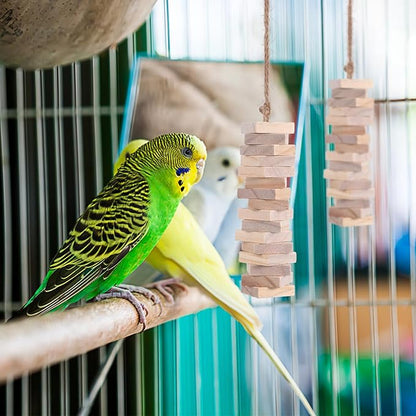 NOLITOY Parrot Toys: 100PCS Wooden Chewing Blocks, Thick Natural Wood for Bird Chew Training, DIY Cage Toys for Parakeet Budgie Conure Macaw Cockatoo