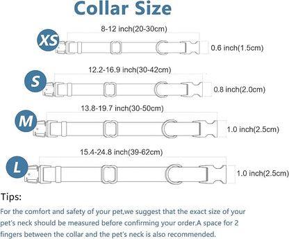 Dog Collar and Leash Set.Soft and Easy to Clean Vegan Leather with Rose Gold Metal Buckle for Small Medium Large Dogs (Grey, XS(8"-12"))
