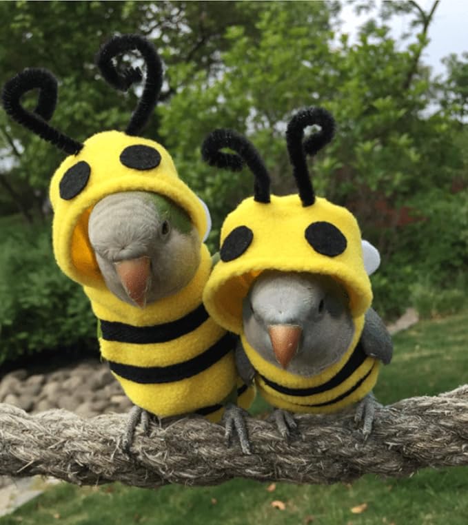 Bird Costume Diaper Flight Suit Bee Shape Clothes Cosplay Photo Prop for Parrots Lovebird Budgie Parakeet Cockatiel Sun Conure, Small Animals Apparel (Bee Without Diaper, Medium), Green (BPF1)