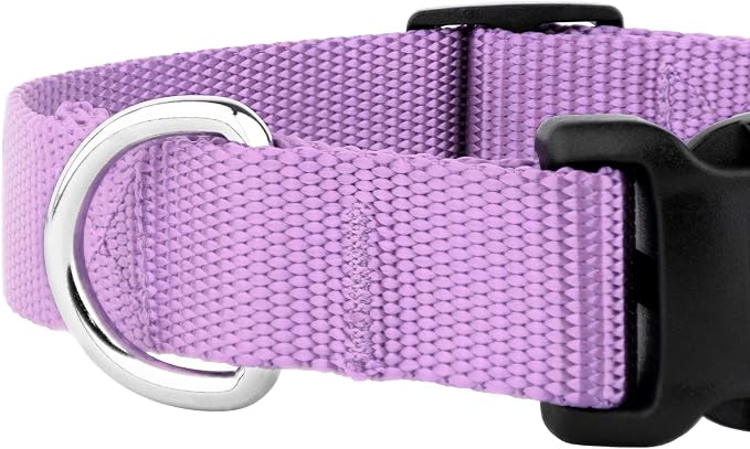 Country Brook Petz - Everyday Nylon Dog Collar and Leash - 10+ Cool Colors (3/8 Inch, 3XS, Lavender)