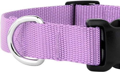Country Brook Petz - Everyday Nylon Dog Collar and Leash - 10+ Cool Colors (1 Inch, Extra Large, Lavender)