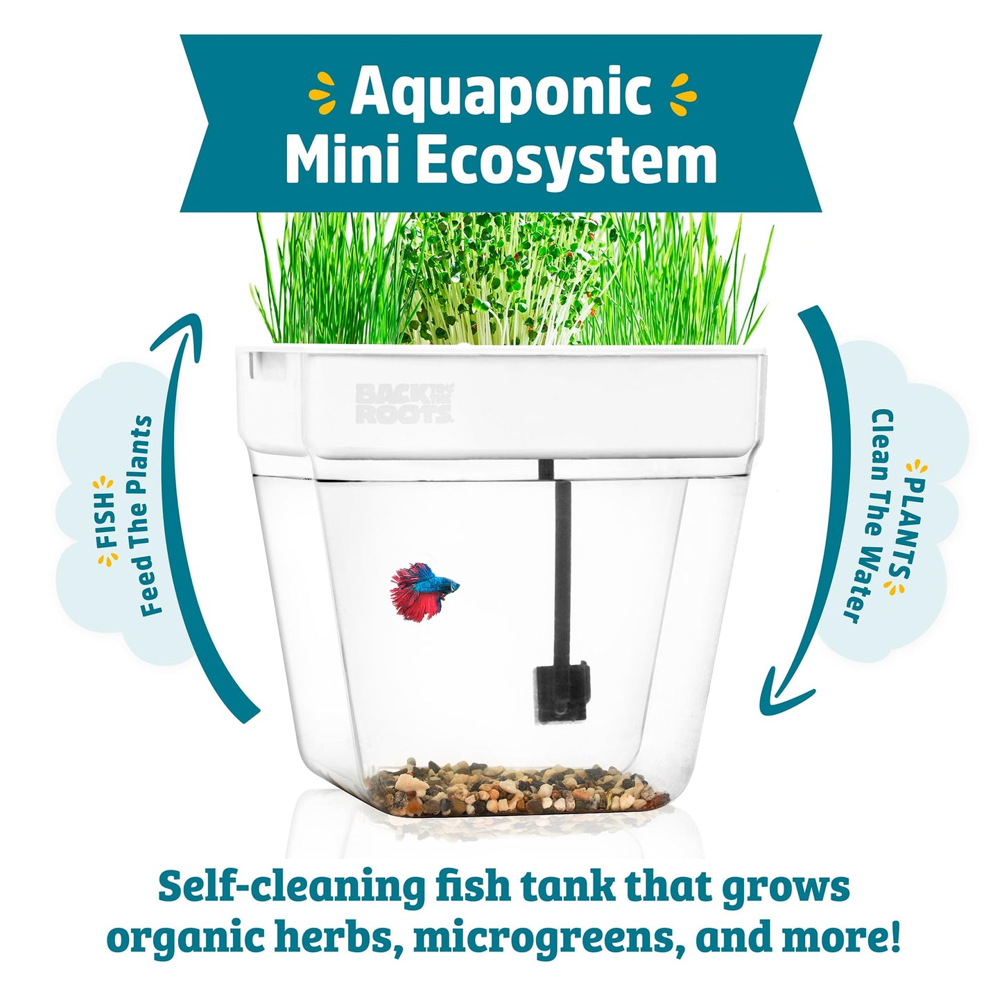 Back to the Roots Indoor Aquaponic Garden - 3 Gallon Self Watering, Mess-Free Planter and Self-Cleaning Fishtank for Herbs, Microgreens, Bamboo, Succulents, and Houseplants, support Fish