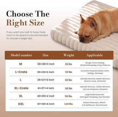 Orthopedic Dog Bed Medium Size Dog, Pet Beds with Waterproof Lining, Soft Short Plush Surface & Egg Crate Foam, Machine Washable Pet Mat with Removable Cover & Anti Slip Bottom
