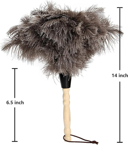 2pcs Ostrich Feather Dusters Natural Feathers Duster