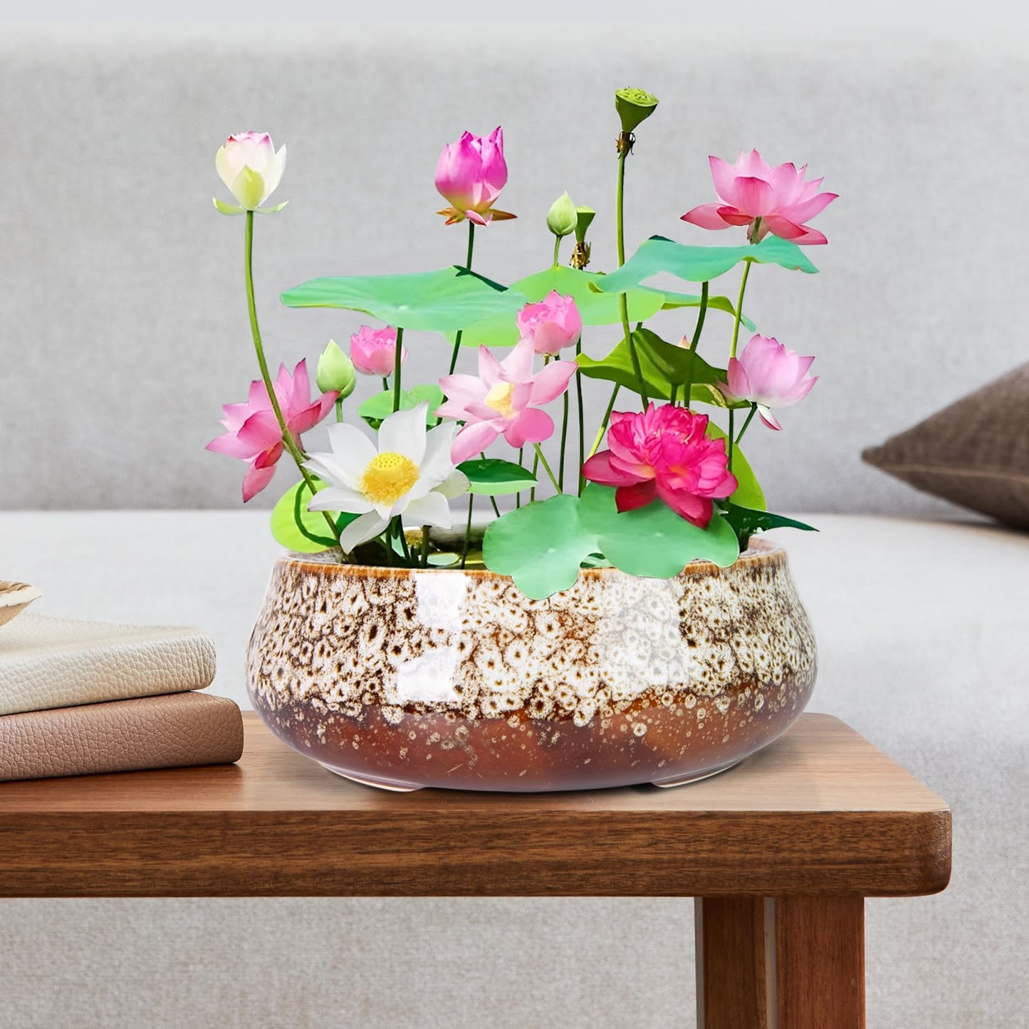 Lotus Bowl Planter - 8 Inch Large Lotus Flower Bowl for Water Plants, Ceramic Hydroponic Planter Water Lily Bowl for Planting Aquatic and Indoor Succulent Plants and Bonsai