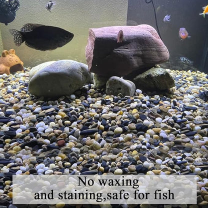 FANTIAN 10 lbs Pea Gravel for Landscaping, 2/5 Inch Size Mixed Color River Rocks for Aquarium, Succulent, Vase Fillers, Cactus Bonsai, Plant Soil Cover and Outdoor Garden Rocks.