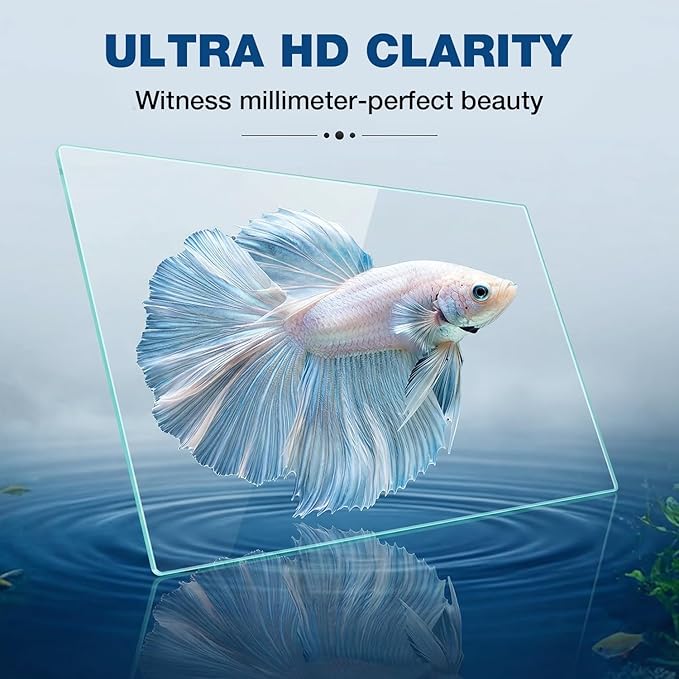 10 Gallon Glass Fish Tank, Nano Aquarium Fish Tank, Rimless Low Iron Aquarium for Betta/Turtle/Goldfish/Snails/Shrimp and Aquatic Planting