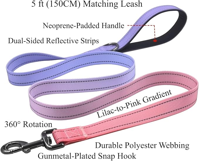 Dog Collar Leash Set, Gradient Color, with Safety Reflective Strips, 5 ft Matching Leash, Neoprene Padded Handle, Adjustable 4 Sizes for Small Medium Large Dogs.(S, Lilac Pink)