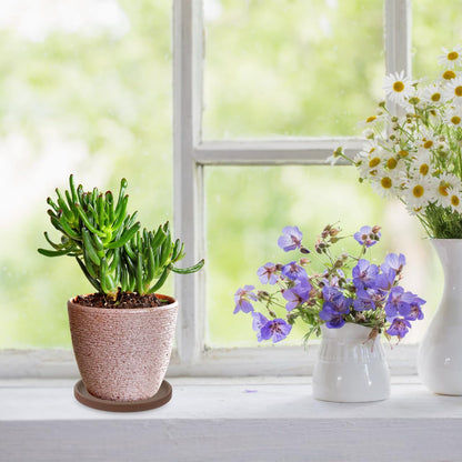 BESPORTBLE Purple Clay Flower Pot Tray - 4.72 Inch Round Ceramic Plant Saucer for Indoor and Outdoor Use Durable Water Catcher for Potted Plants