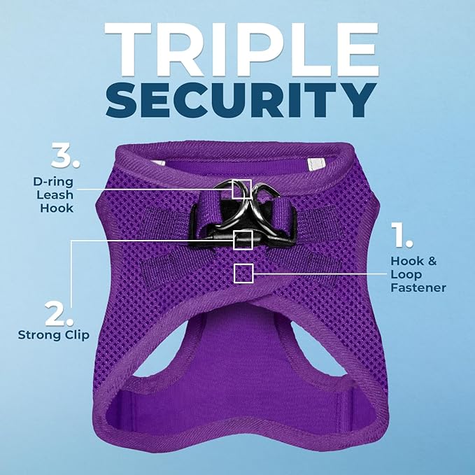 Best Pet Supplies Voyager Step-in Air All Weather Mesh Harness and Reflective Dog 5ft Leash Combo with Neoprene Handle, for Small, Medium and Large Breed Puppies - Purple, X-Large