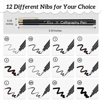 APOGO Calligraphy Pen Set for Beginners, 12 Size Calligraphys Pens for Writing, Hand Lettering Pens for Adults, Brush Pens for Art Drawing, Sketching, Scrapbooking, Journaling, Signing