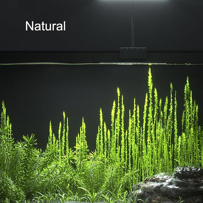 Carefree Fish Aquarium LED Light USB 5V1A RGBW 5730 Timmer 1~10Gal Fish Tank Clip Light 10 Brightness Levels 8W with USB Port (Include UL Certification Power Adapter)