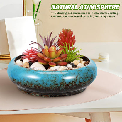 Toddmomy 2pcs Cute Flower Pot with Drainage Ceramic Succulent Planter Bowl Indoor Plant Pot Planter