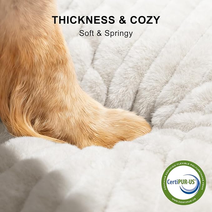 FURTIME Dog Bed for Small Dogs, Washable Orthopedic Dog Bed with Removable Cover, Rectangle Soft Calming Sleeping Puppy Bed Durable Pet Cuddler with Anti-Slip Bottom, Cream, S (20"x19"x6")