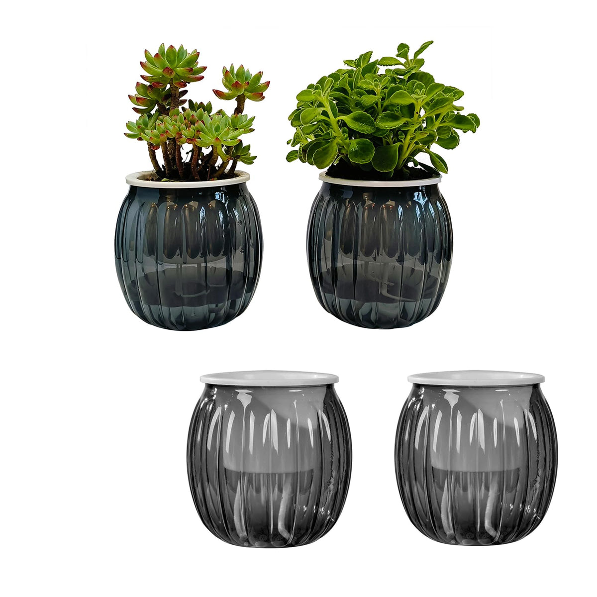 Cornasee 4" Pumpkin Planter Self Watering Pot, 4-Pack Small Plastic Planters for Indoor Plants,Flowers,Succulent,African Violets (Black, 4")