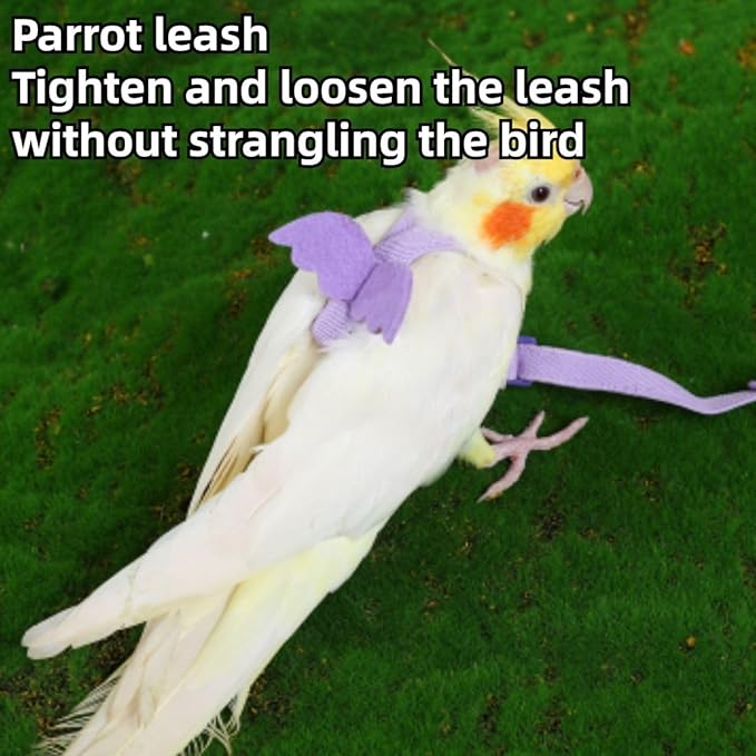 Pet Parrot Bird Harness and Leash, Adjustable Training Design Anti-Bite, Bird Nylon Rope with Cute Wing and Colorful Leash for Parrots Lovebird Cockatiel Conure Budgie (Pink with 78.7inch Leash,L)