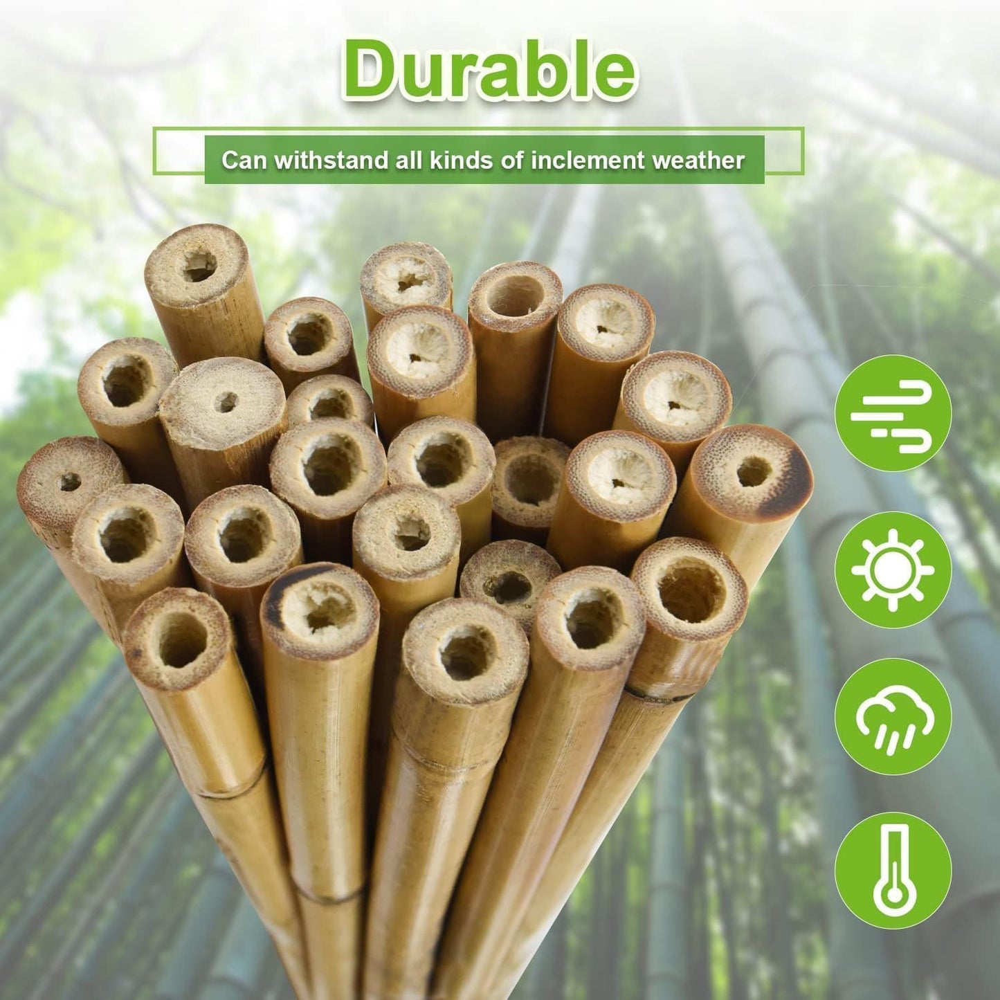 Jollybower 1/2" D 4 Feet Bamboo Stakes 50 Pack, Thicker Heavy-Duty Plant Stakes, Natural Garden Stakes for Bean, Tomato, Bean, Flowers,Trees Potted and Climbing Plant Support