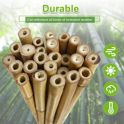 Jollybower 1/2" D 4 Feet Bamboo Stakes 50 Pack, Thicker Heavy-Duty Plant Stakes, Natural Garden Stakes for Bean, Tomato, Bean, Flowers,Trees Potted and Climbing Plant Support