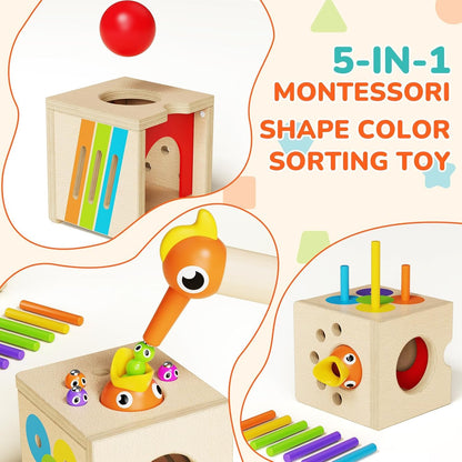 Paisure 5-in-1 Wooden Activity Cube, Magnetic Bird Feeding Toy