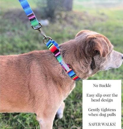 Lucky Love Dog Martingale Dog Collar - Adjustable, No-Slip, Durable, & Soft Webbing Collar for Male and Female Dogs Ideal for Training & Walking - Nacho, Small