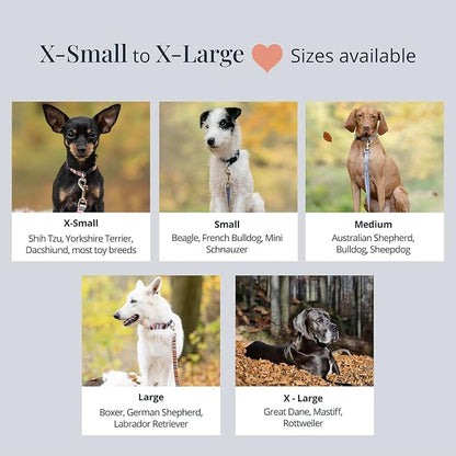Lucky Love Dog - Adjustable Dog Collar with Easy Click Buckle for Small Dogs, Durable, & Comfortable for Male & Female Dogs, Pet Collar for Puppies & Adult Ones - Linus, Small