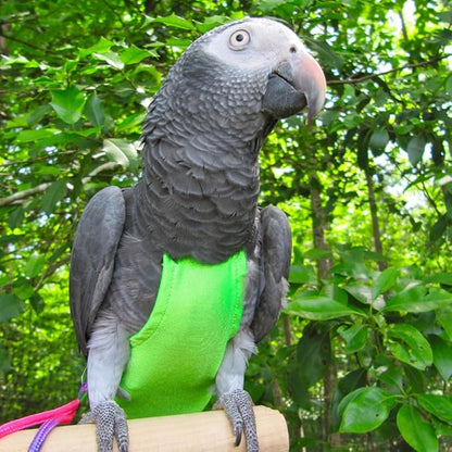Avian Fashions FeatherWear FlightSuit Custom Wide(7.5) Bird Diaper in Lime Green