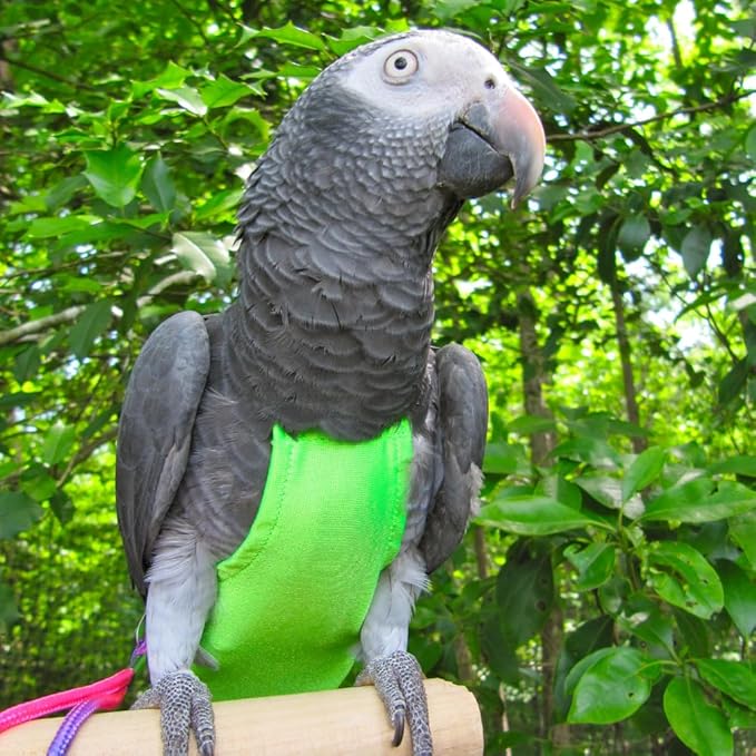 Avian Fashions FeatherWear FlightSuit X-Wide Long(11) Bird Diaper in Lime Green