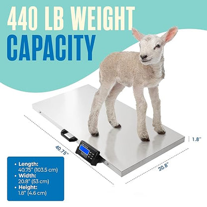 Houseables Dog Scale, Dog Scale for Large Breed, Pet, 660 LB, Livestock, Pet Weight, Animal, Veterinary, Sheep, Goat, Pig, Shipping, Packages, Weighing, Puppy, Vet, Heavy Duty, Digital, 41x21 Platform