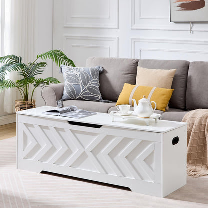 XDliv 55.1” Storage Bench, Extra Large Entryway Bench with Storage,Storage Chest with 2 Safety Hinges,Blanket Storage,Shoe Storage Chest for Bedroom,Living Room,Easy Assembly. (White)