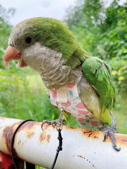 Bird Diaper Harness Flight Suit Clothes, Parrot Flight Suit with Leash, Bird Flying Clothes with Rope and Handle for Outdoor Activities Training (Pink with Leash,Medium)