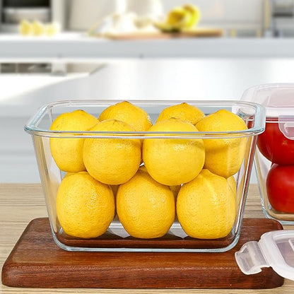 2 Pack Large Glass Storage Containers