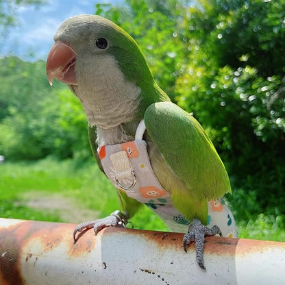 Snap-Closure Parrot Diaper Flight Suit for Cockatiels, Lovebirds & Medium Birds Cotton Washable Escape-Proof Harness with Leash Set(Blue Monk Model+1 Meter Rope)