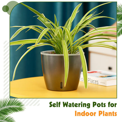 KvyusFlourish Self Watering Pots for Indoor Plants, 6-Pack 6.7'' Self Watering Planter with Drainage Holes, Small African Violet Pots with Water Indicator, Clear Wick Orchid Pot, Grey Gold