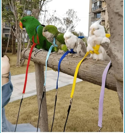 Bird Harness Leash Adjustable Outdoor Training Flying Harness Traction Rope with Cute Wing for Parrots Pigeons Budgerigar Lovebird Cockatiel Mynah (S,Yellow)