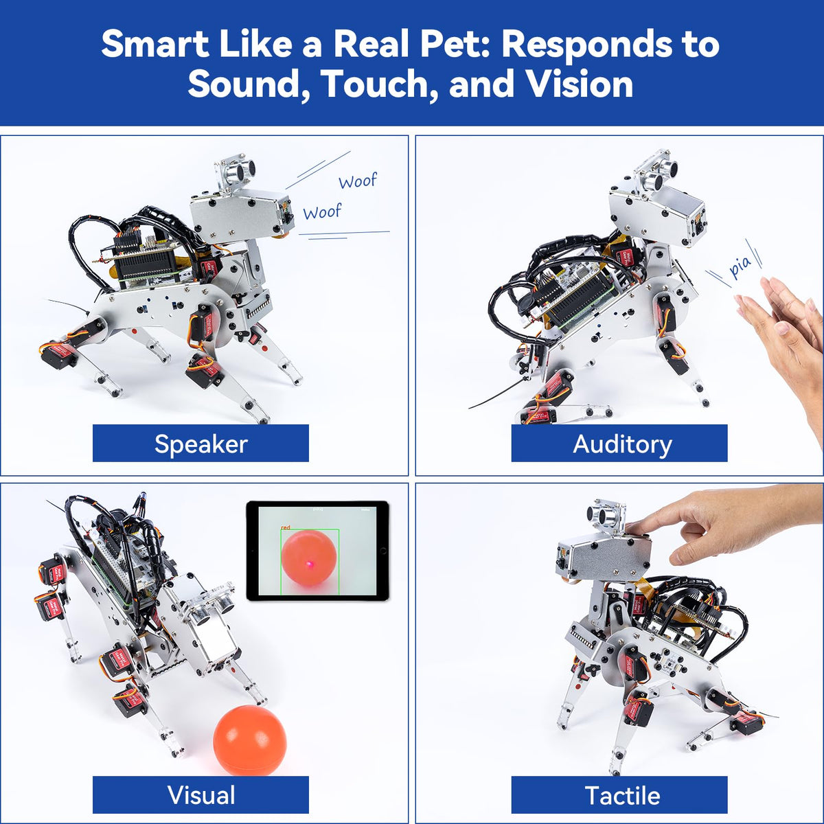 SunFounder AI Robot Kit with Raspberry Pi Zero 2 W+32G TF Card, ChatGPT-4o Enabled with Voice Command & Video Recognition, App Control, FPV, 12 Servos, Gyroscope, Camera, Mic