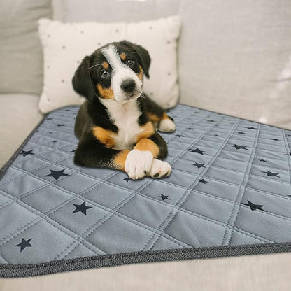 RIOUSSI Washable Pee Pads for Dogs, Reusable, Absorbent, Leakproof, Non Slip Pet Puppy Pads for Potty Training. Gray Stars, 36x41 Inch(2pack)