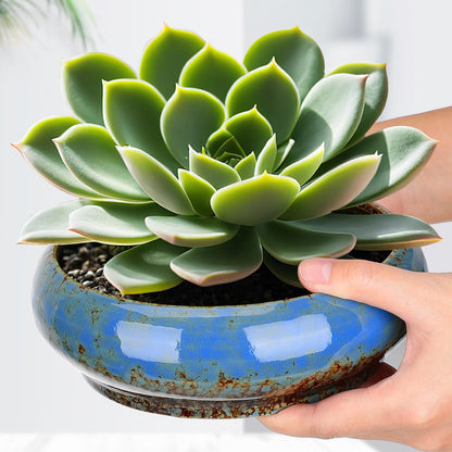 Abaodam Lotus Bowl Planter, Ceramic Water Lily Pot for Growing Lotus Flower Seeds, Shallow Bonsai Bowl for Aquatic Plants, Succulents, Hydroponic Planter for Zen Garden Patio and Home Decor