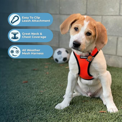 Best Pet Supplies Voyager Step-in Air All Weather Mesh Harness and Reflective Dog 5ft Leash Combo with Neoprene Handle, for Small, Medium and Large Breed Puppies - Orange/Black Trim, X-Small