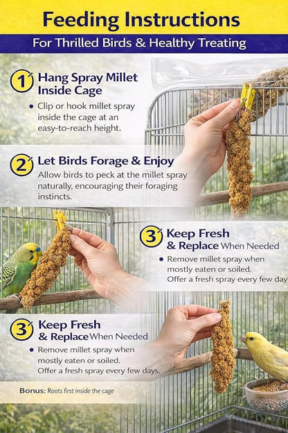 Farm to Feathers™ Economy & Thin Spray Millet with Cuttlebone Bundle – USA Grown Millet Sprays for All Birds, Cockatiels, Lovebirds, Parakeets, Finches – 7 Ounce (Pack of 1) + 4" Cuttlebone (4-Pack)