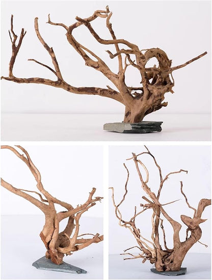 AWXZOM Natural Large Spider Wood Driftwood for Aquarium, Terrarium, Vivarium, and Reptile, Aquarium Décor, Reptile Tank, Aquarium décor Wood Aquascaping Wood for Reptile Enclosure (9-14inch)