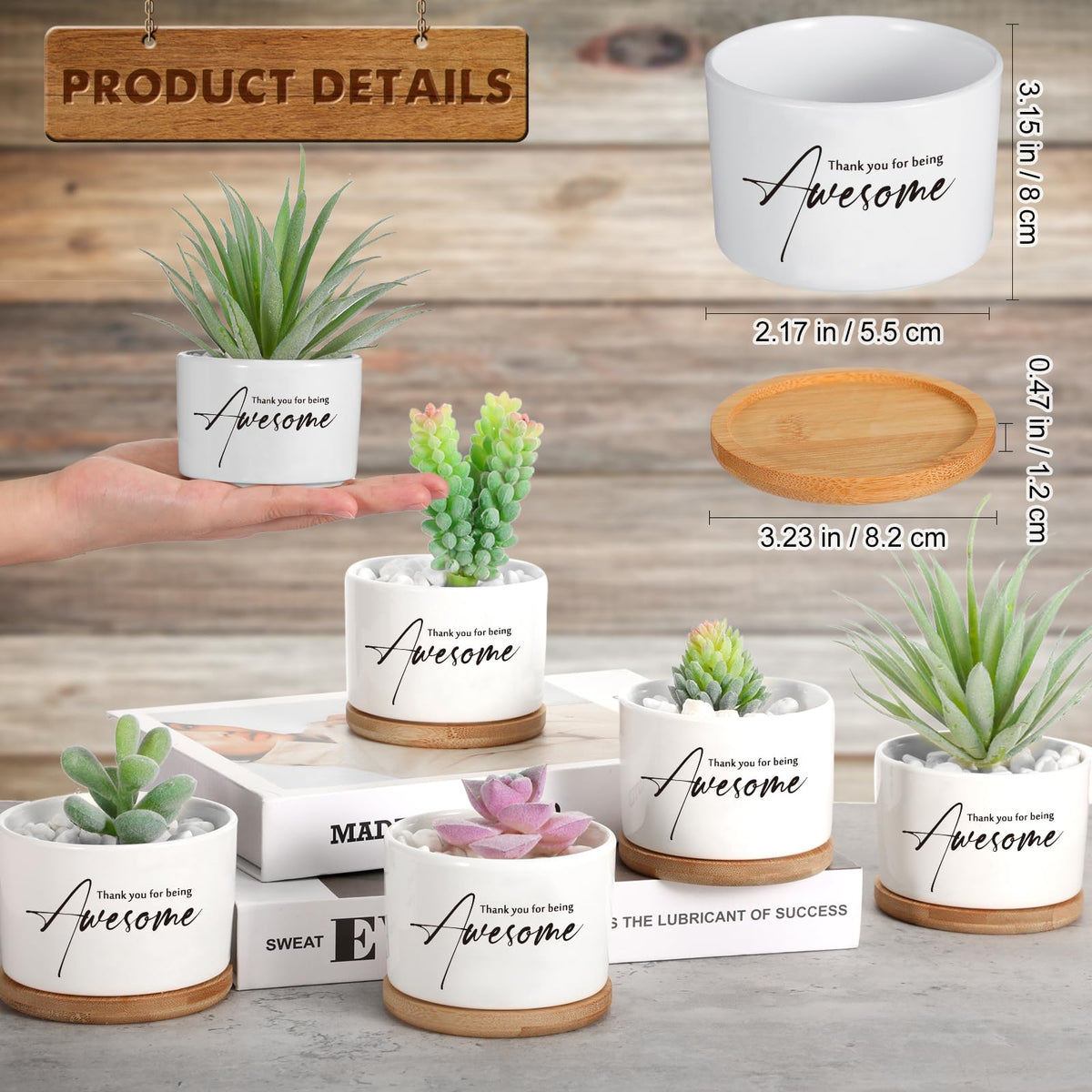 12 Pack Teacher Appreciation Gift Thank You Succulent Ceramic Mini Pots Nurse Week Gift with Bamboo Tray Succulent Planter for Employee Memorial Day Office Team Volunteer Desk Decor, Plants Excluded