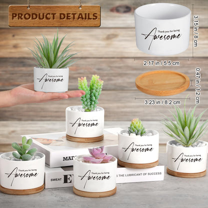 12 Pack Teacher Appreciation Gift Thank You Succulent Ceramic Mini Pots Nurse Week Gift with Bamboo Tray Succulent Planter for Employee Memorial Day Office Team Volunteer Desk Decor, Plants Excluded